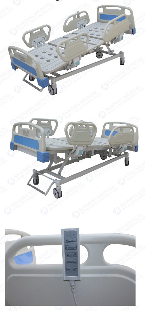 SK006-2 details.jpg